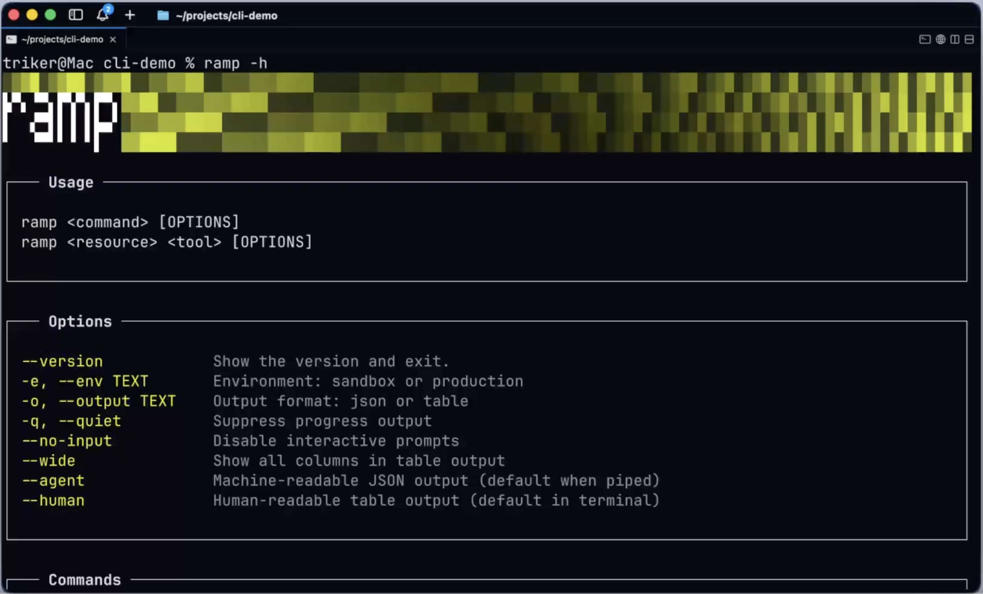 Ramp CLI an image of the ramp CLI